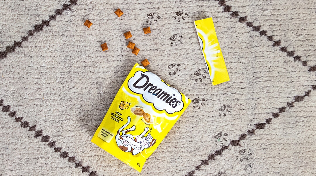 Dreamies snack packet spiled on the floor